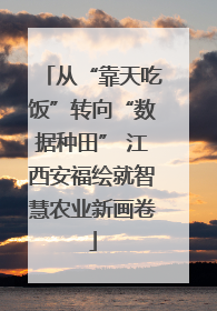 从“靠天吃饭”转向“数据种田” 江西安福绘就智慧农业新画卷