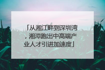 从湘江畔到深圳湾，湘潭跑出中高端产业人才引进加速度