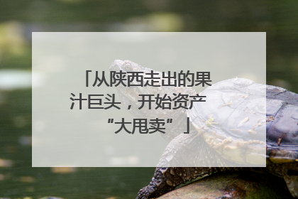从陕西走出的果汁巨头，开始资产“大甩卖”