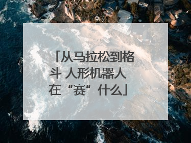 从马拉松到格斗 人形机器人在“赛”什么