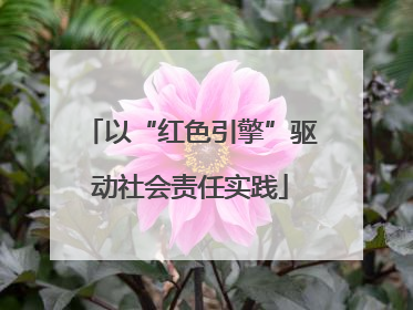 以“红色引擎”驱动社会责任实践