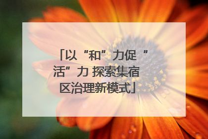 以“和”力促“活”力 探索集宿区治理新模式
