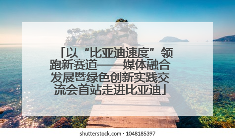 以“比亚迪速度”领跑新赛道——媒体融合发展暨绿色创新实践交流会首站走进比亚迪