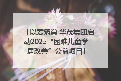 以爱筑巢 华茂集团启动2025“困难儿童学居改善”公益项目