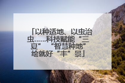 以种适地、以虫治虫……科技赋能“三夏” “智慧种地”绘就好“丰”景