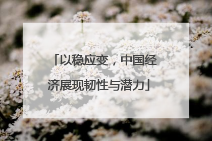 以稳应变，中国经济展现韧性与潜力
