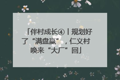 伴村成长④丨规划好了“满盘赢”，仁义村唤来“大厂”回