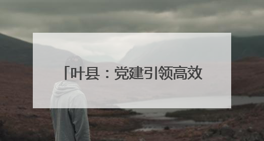 叶县：党建引领高效能 绘就乡村新图景