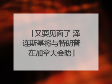 又要见面了 泽连斯基将与特朗普在加拿大会晤