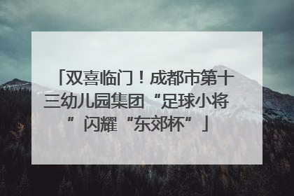 双喜临门！成都市第十三幼儿园集团“足球小将”闪耀“东郊杯”