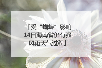 受“蝴蝶”影响 14日海南省仍有强风雨天气过程