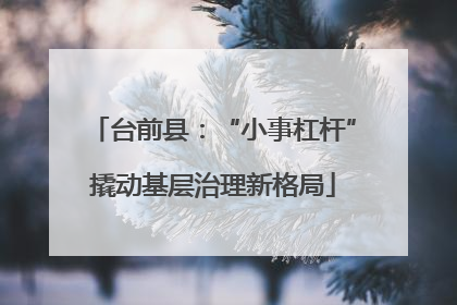 台前县：“小事杠杆”撬动基层治理新格局