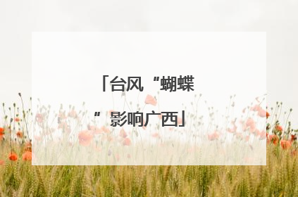 台风“蝴蝶”影响广西