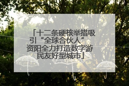 十二条硬核举措吸引“全球合伙人” 资阳全力打造数字游民友好型城市