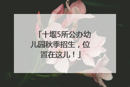 十堰5所公办幼儿园秋季招生，位置在这儿！