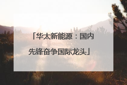 华太新能源：国内先锋奋争国际龙头