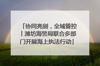 协同亮剑,全域管控丨潍坊海警局联合多部门开展海上执法行动