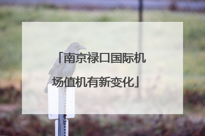 南京禄口国际机场值机有新变化