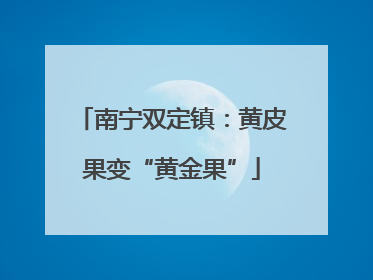 南宁双定镇：黄皮果变“黄金果”