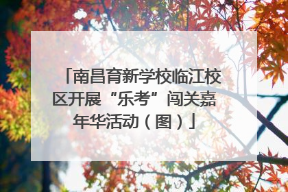 南昌育新学校临江校区开展“乐考”闯关嘉年华活动（图）