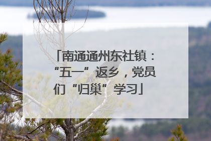 南通通州东社镇：“五一”返乡，党员们“归巢”学习