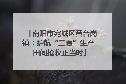 南阳市宛城区黄台岗镇：护航“三夏”生产 田间抢收正当时
