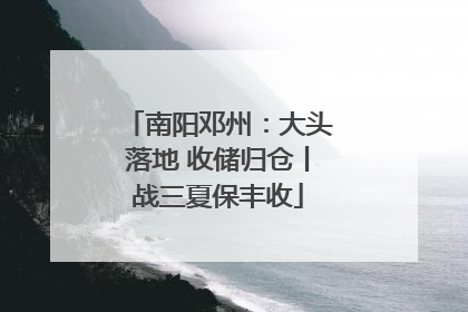 南阳邓州：大头落地 收储归仓丨战三夏保丰收
