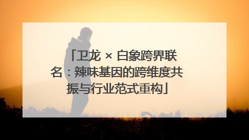 卫龙 × 白象跨界联名：辣味基因的跨维度共振与行业范式重构