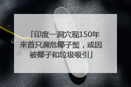 印度一洞穴现150年来首只濒危椰子蟹，或因被椰子和垃圾吸引