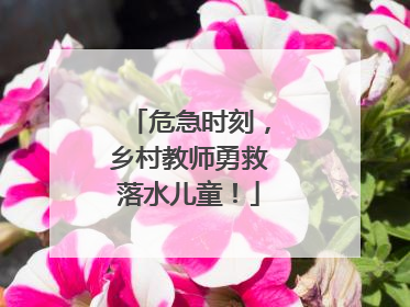 危急时刻，乡村教师勇救落水儿童！