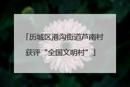 历城区港沟街道芦南村获评“全国文明村”