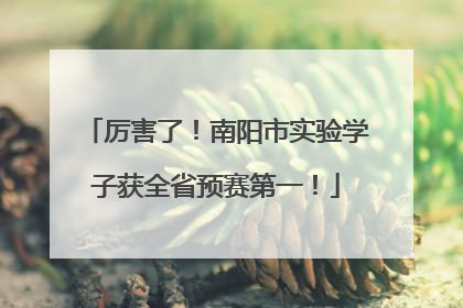 厉害了！南阳市实验学子获全省预赛第一！