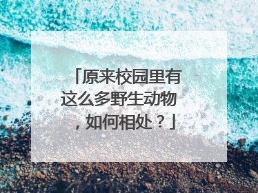 原来校园里有这么多野生动物，如何相处？