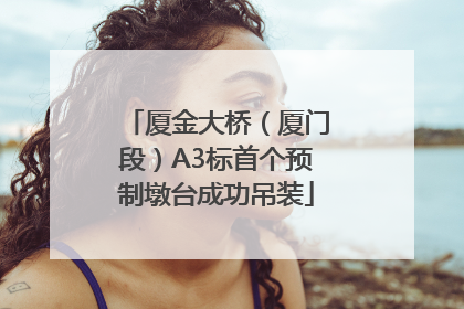 厦金大桥（厦门段）A3标首个预制墩台成功吊装