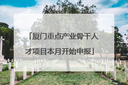 厦门重点产业骨干人才项目本月开始申报