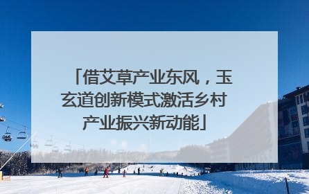 借艾草产业东风，玉玄道创新模式激活乡村产业振兴新动能