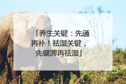 养生关键：先通再补！祛湿关键，先健脾再祛湿