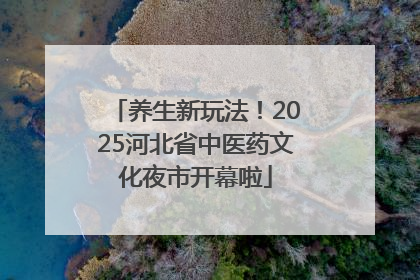 养生新玩法！2025河北省中医药文化夜市开幕啦