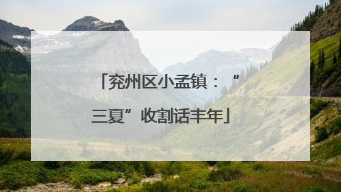 兖州区小孟镇：“三夏”收割话丰年