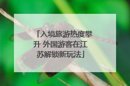 入境旅游热度攀升 外国游客在江苏解锁新玩法
