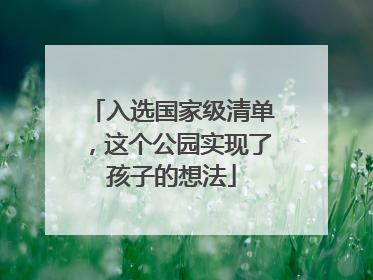 入选国家级清单，这个公园实现了孩子的想法