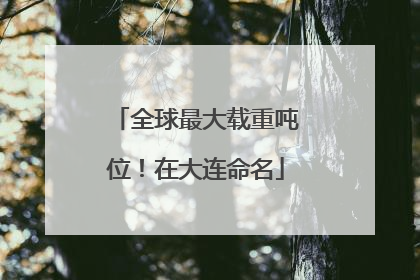 全球最大载重吨位！在大连命名