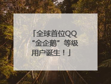 全球首位QQ“金企鹅”等级用户诞生！