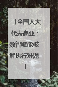 全国人大代表高亚：数智赋能破解执行难题