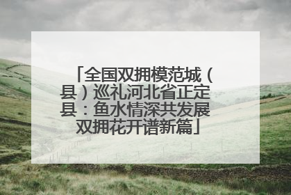 全国双拥模范城（县）巡礼河北省正定县：鱼水情深共发展 双拥花开谱新篇