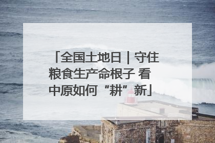 全国土地日｜守住粮食生产命根子 看中原如何“耕”新