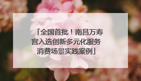 全国首批！南昌万寿宫入选创新多元化服务消费场景实践案例