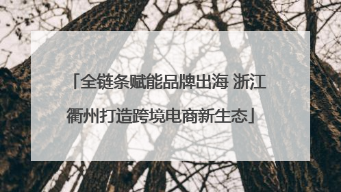 全链条赋能品牌出海 浙江衢州打造跨境电商新生态