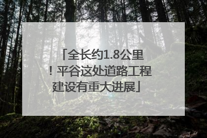 全长约1.8公里！平谷这处道路工程建设有重大进展