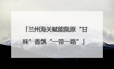 兰州海关赋能陇原“甘味”香飘“一带一路”